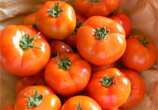 Cà chua - Cung Cấp Rau Sạch - Công Ty Cổ Phần Nông Sản Thực Phẩm Thành Nam